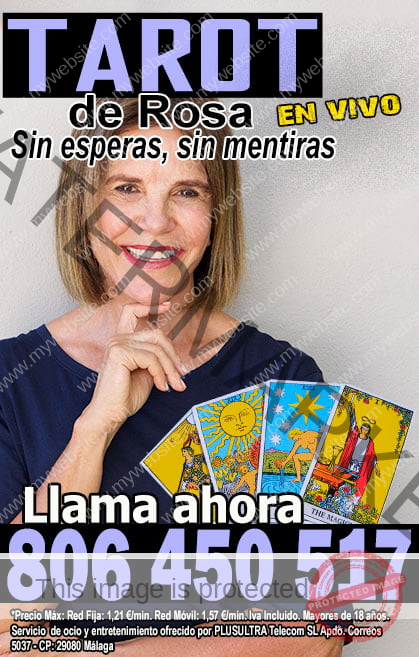 tarot amigo si o no